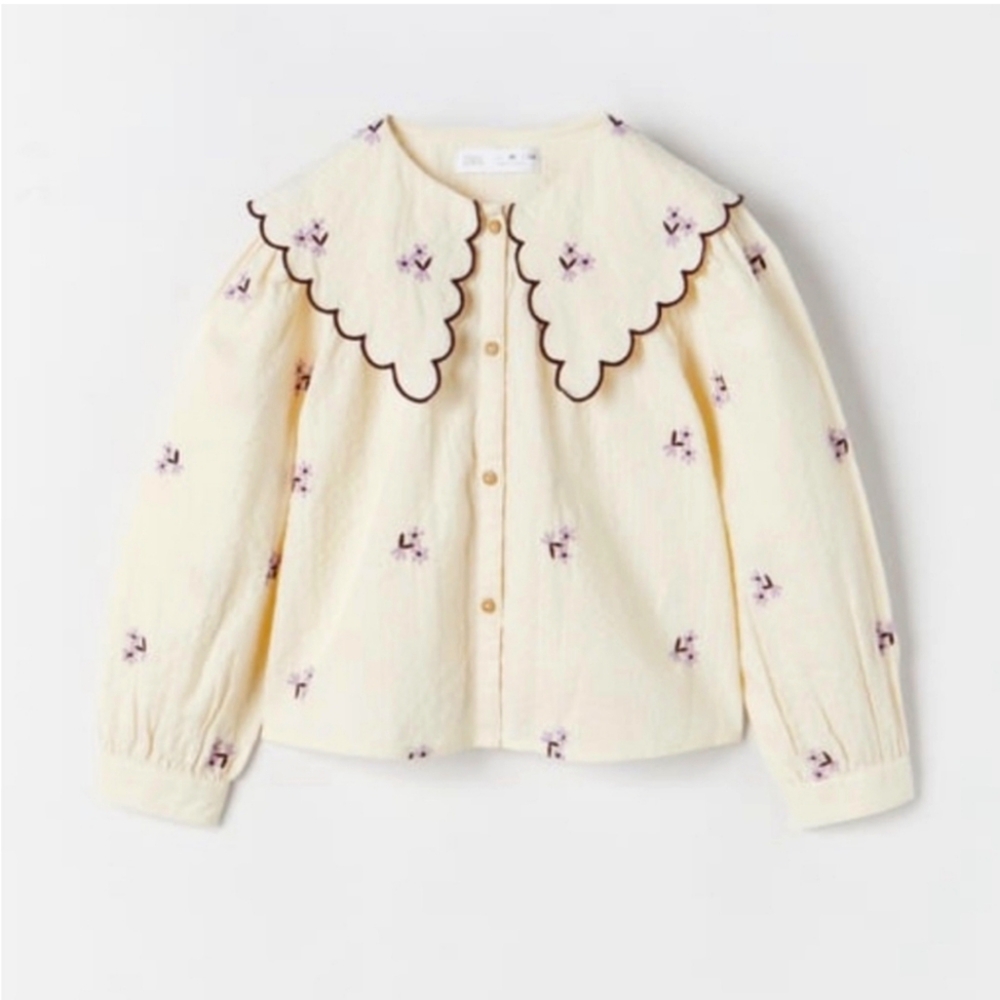 Zara Girls Embroidered Longsleeves